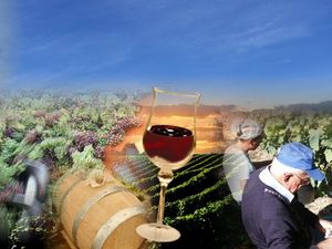 cotes-gascogne