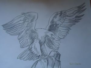 AGUILA2