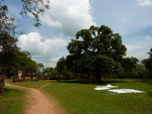 Polonnaruwa la cité (1)