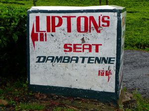 Haputalé Lipton
