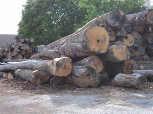 Grumes-5.JPG