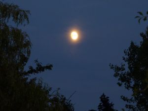 Images-de-printemps--d-automne-etonnantes-072.JPG