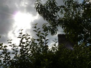 Images-de-printemps--d-automne-etonnantes-096-copie-1.JPG