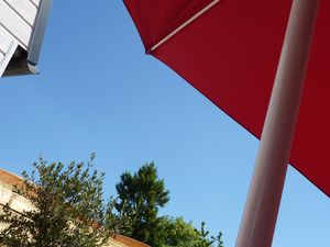 Images de printemps, d'automne étonnantes 304