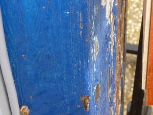 Images-de-printemps--d-automne-etonnantes-347.JPG