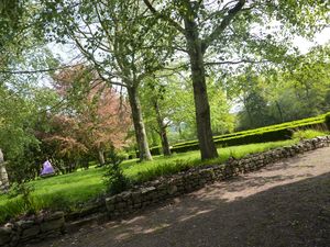 Images-de-printemps--d-automne-etonnantes-481.JPG