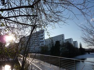 Images-diverses-et-d-ete-232.JPG