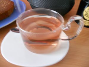 DSCN0208.JPG
