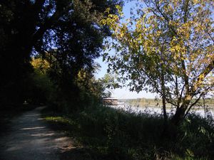 Garonne-03-10-2011-021.JPG