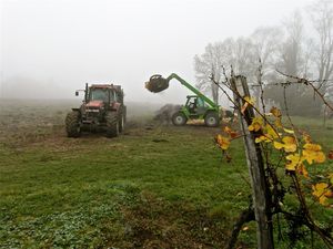 Epandage de fumier de veau pour plantation de vigne à 100 m3/ha