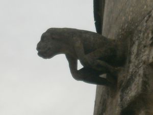 Jonzac--20-01-2013-037.JPG
