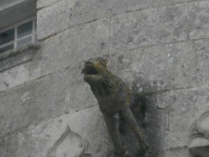 Jonzac--20-01-2013-038.JPG