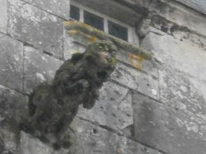 Jonzac--20-01-2013-042.JPG