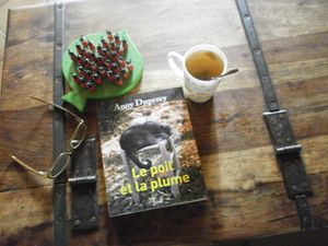 divers fleurs et livre A.Duperey 021