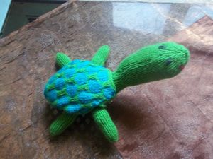 tortue-Sandrine 000_0050.JPG