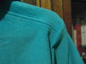 bleu etoile (6)