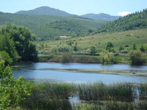 Pantano di Pignola Oasi WWF