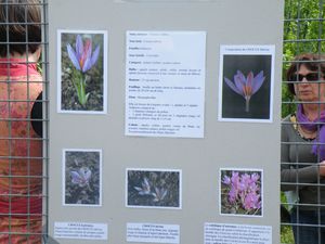 DSCF3923.JPG