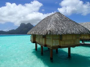 bora bora rencontre