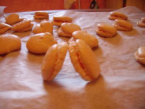 IMG_0072.JPG