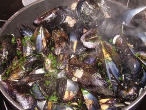 IMG_2822.JPG