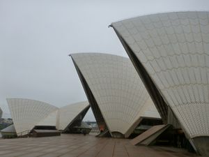 225 - Sydney Harbour & Opera (10) (800x600)
