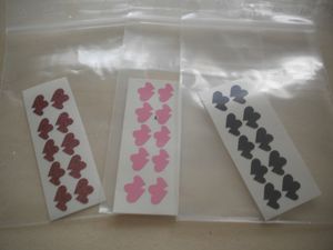 DSCN8737