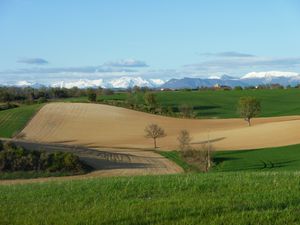 Plateau Valensole 025