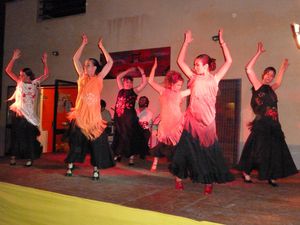 flamenco-094.jpg