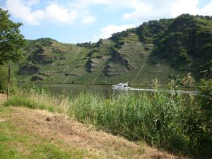 Bernkastel à Mehring (63)