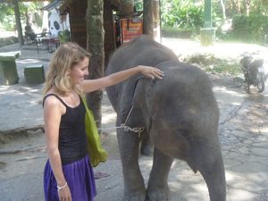 2011-12-22 THAILANDE CHIANG MAI 00039 ZOO