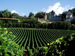 hotel-bordeaux-chateaux-medoc
