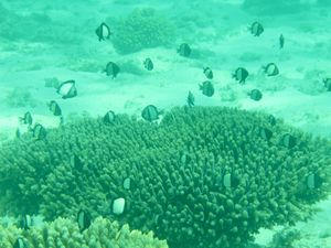 photos-pour-blog 5236