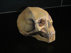 origami skull