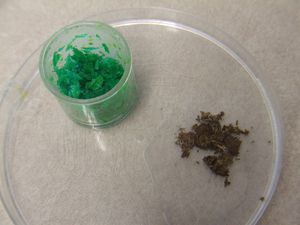 Copper-II--chloride-anhydrous-and-dihydrate.JPG