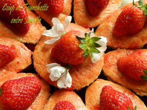 fraisier-fleur-2.jpg