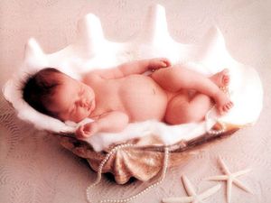 bebe-coquillage.jpg