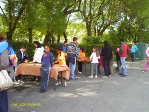 fête du sport 2013 018