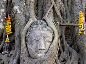 Buddha-Face-Wat-Mahathat-Ayutthaya-Thailand