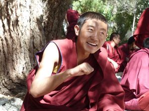 Lhasa Sera moine joyeux