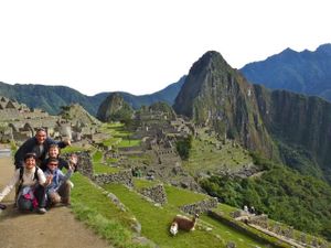 Machu-pichul-lamas.jpg