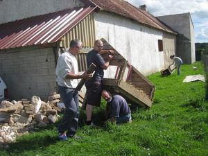 IMG 0629