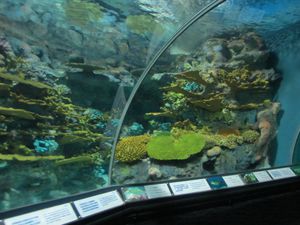 aquarium 6960
