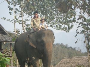 image-copie-85