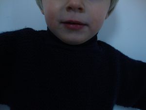 DSC00058.JPG