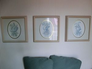 CIMG0591 (5)