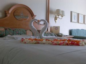 CIMG0598 (5)