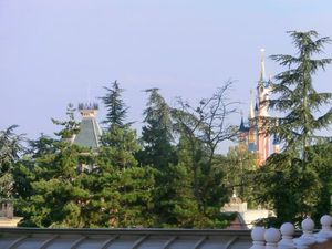 CIMG0724 (4)
