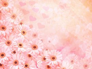Pink-Romantic-Daisies-