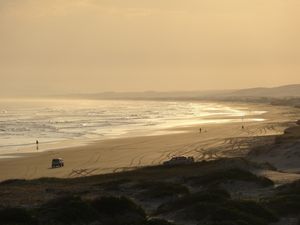 DSC01365